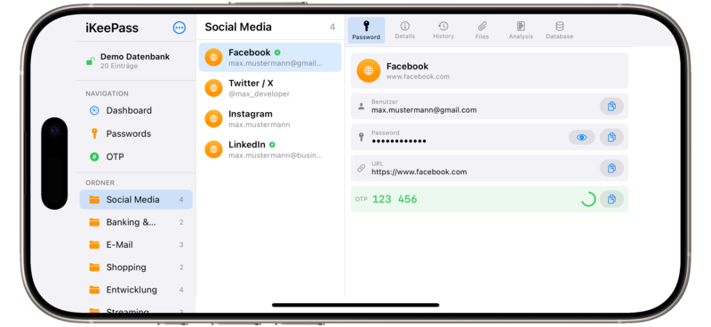 iPhone Dashboard Landscape